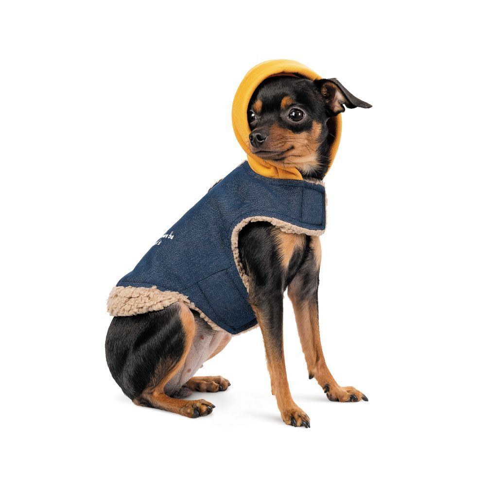 Шлея для собак Pet Fashion Poppy XS-2