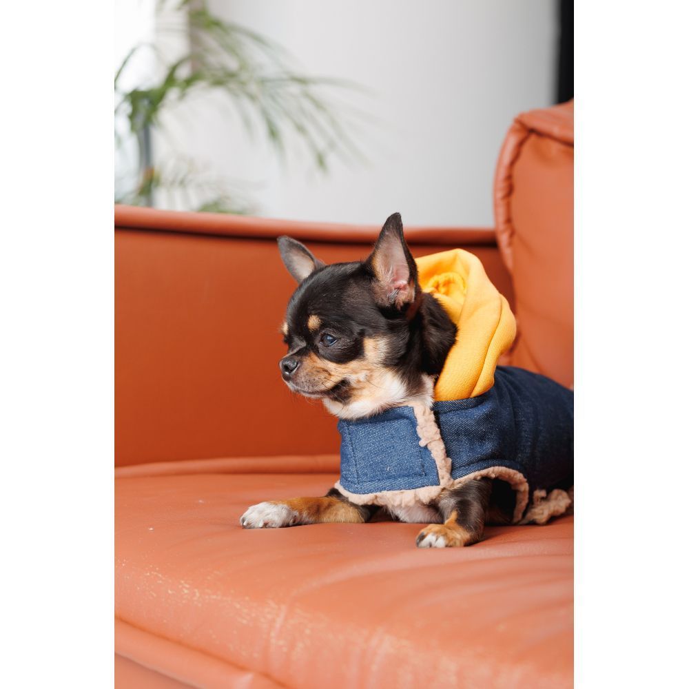 Шлея для собак Pet Fashion Poppy XS-2