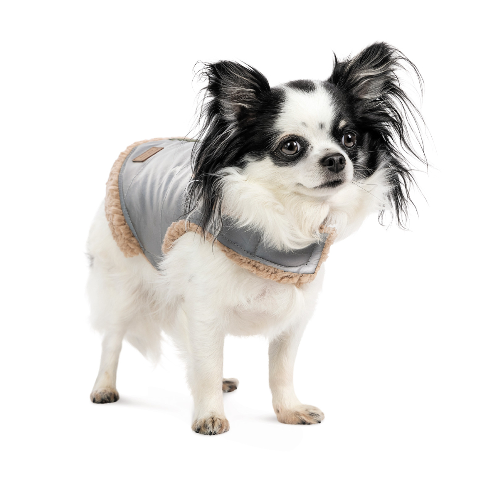 Шлея для собак Pet Fashion Rob XS-2 Шлея для собак Pet Fashion Rob XS-2