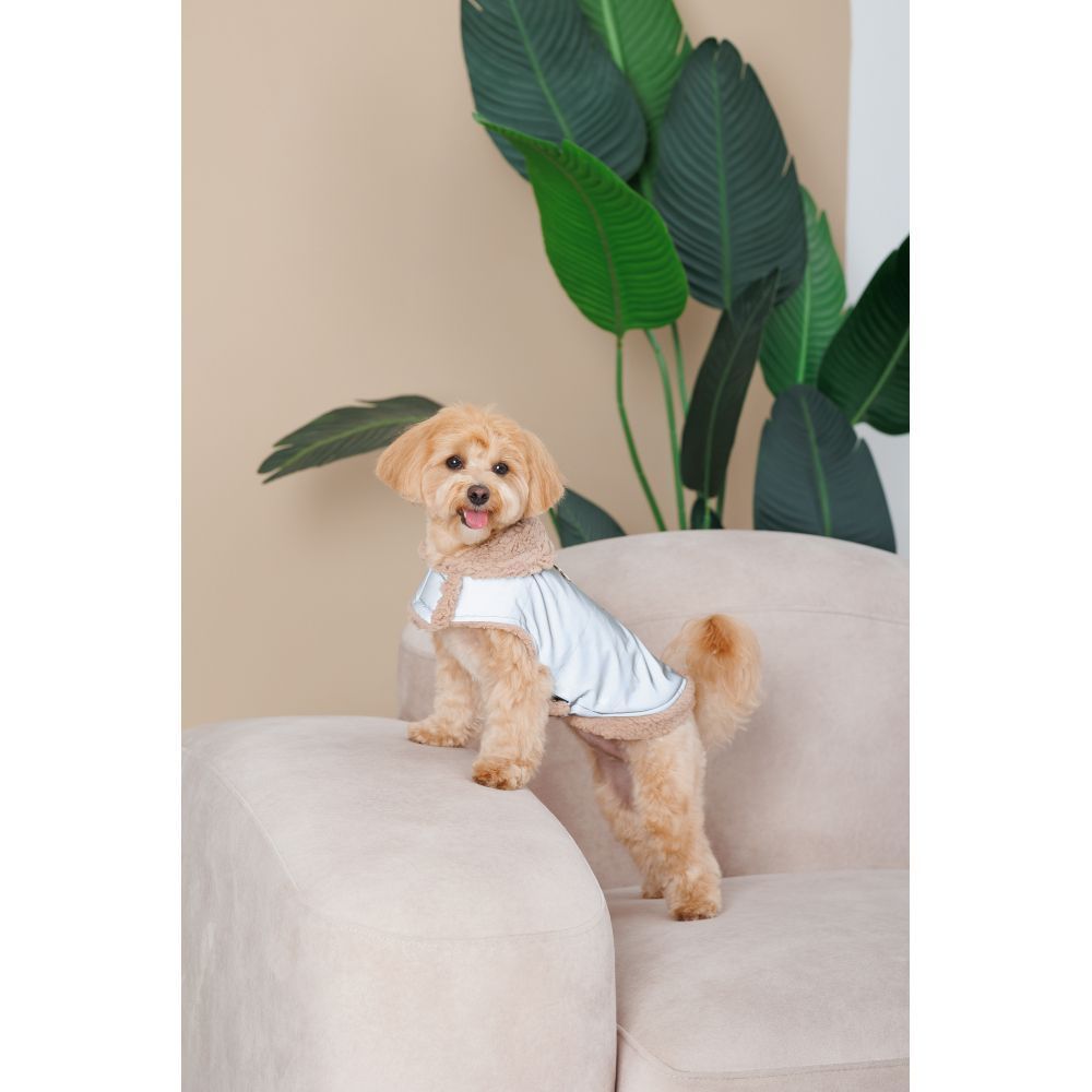 Шлея для собак Pet Fashion Rob XS