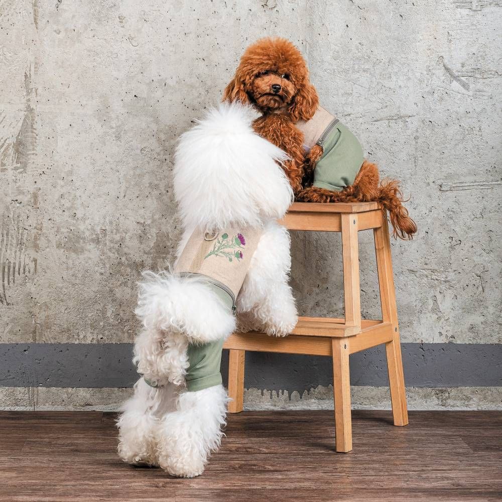 Шлея-костюм для собак Pet Fashion Patrik S Шлея-костюм для собак Pet Fashion Patrik S