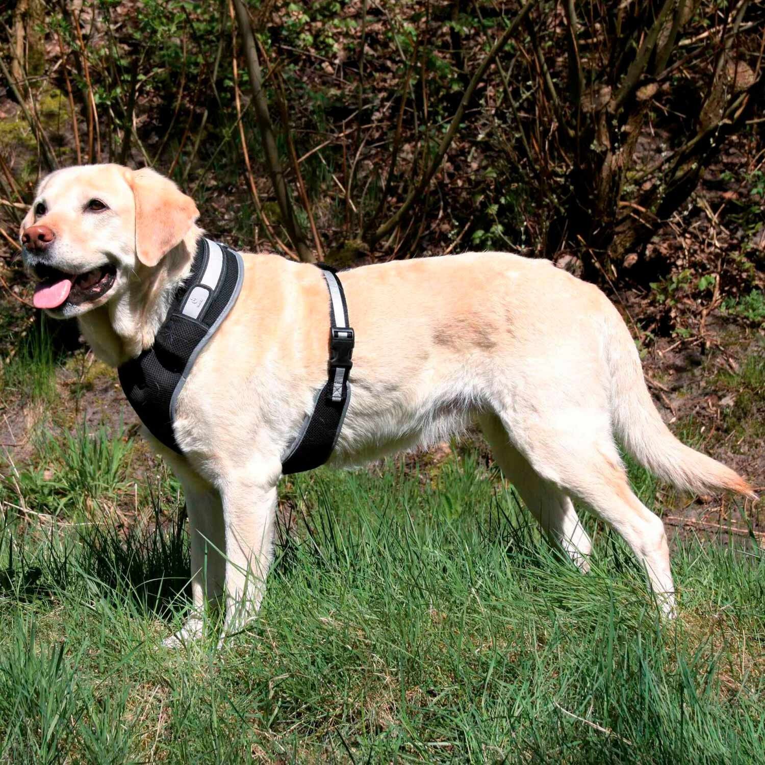 Поводок Trixie из полиэстера, светящийся «Safer Life Flash» S-M 45-60 см (черный) Поводок Trixie из полиэстера, светящийся «Safer Life Flash» S-M 45-60 см (черный)