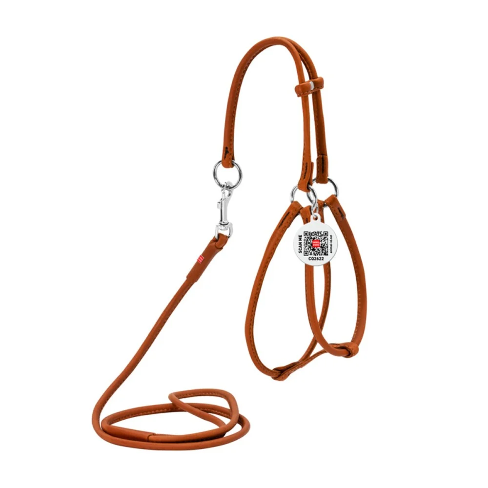 Шлея с поводком COLLAR Натуральная Кожа One Size - коричневая