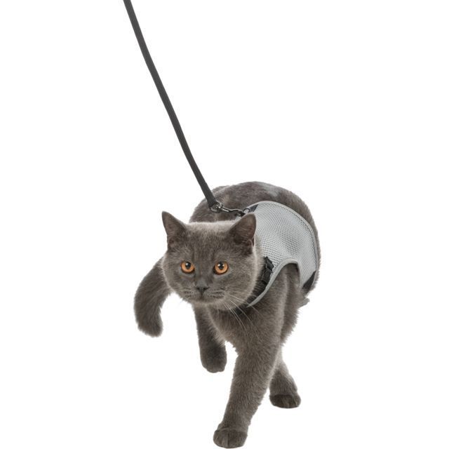 Шлея з повідцем для котів Trixie Xcat нейлонова 24–42 см/10 мм - кольори в асортименті Шлея з повідцем для котів Trixie Xcat нейлонова 24–42 см/10 мм - кольори в асортименті
