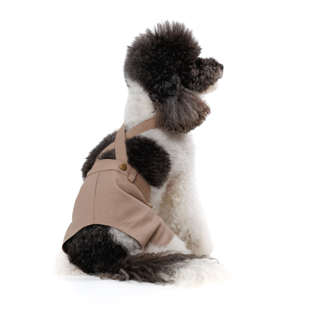 Шорти для собак Pet Fashion Leo XXS - бежевий Шорти для собак Pet Fashion Leo XXS - бежевий