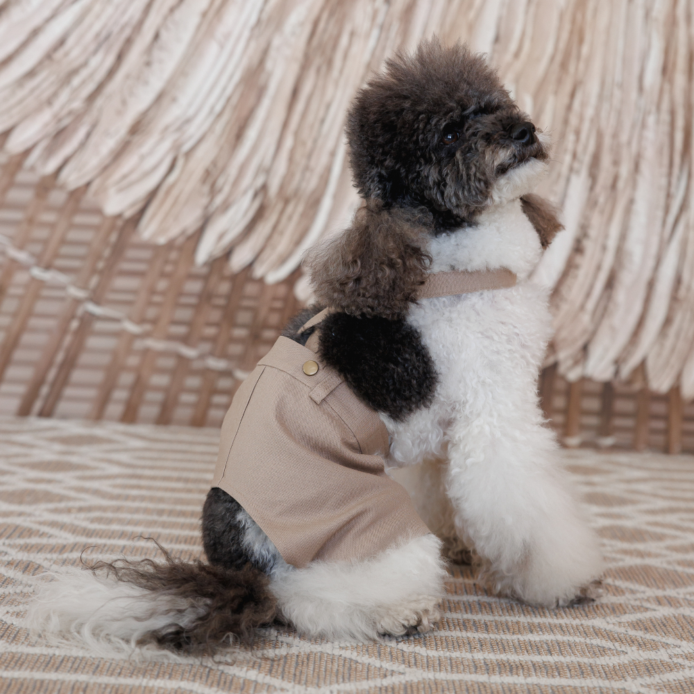 Шорти для собак Pet Fashion Leo XXS - бежевий Шорти для собак Pet Fashion Leo XXS - бежевий