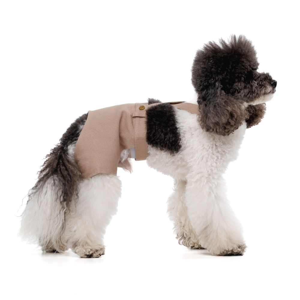 Шорти для собак Pet Fashion Leo XXS - бежевий Шорти для собак Pet Fashion Leo XXS - бежевий