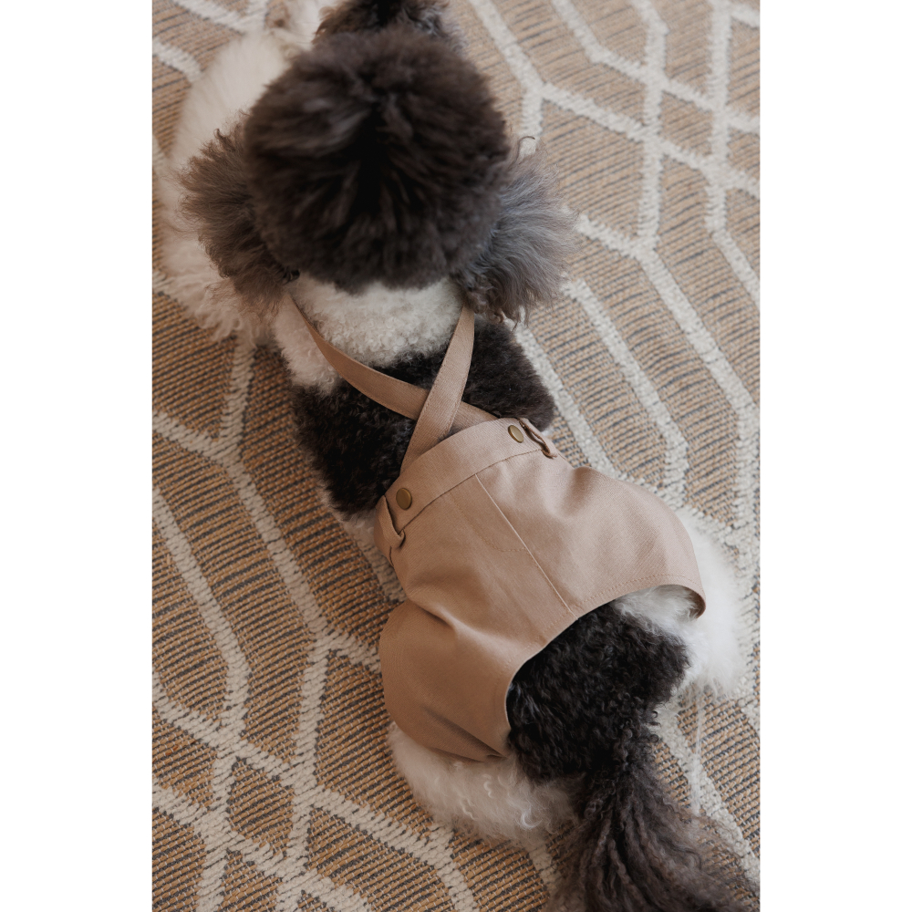 Шорти для собак Pet Fashion Leo XXS - бежевий Шорти для собак Pet Fashion Leo XXS - бежевий