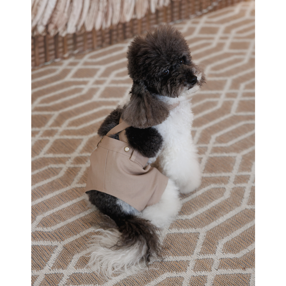 Шорти для собак Pet Fashion Leo XXS - бежевий Шорти для собак Pet Fashion Leo XXS - бежевий