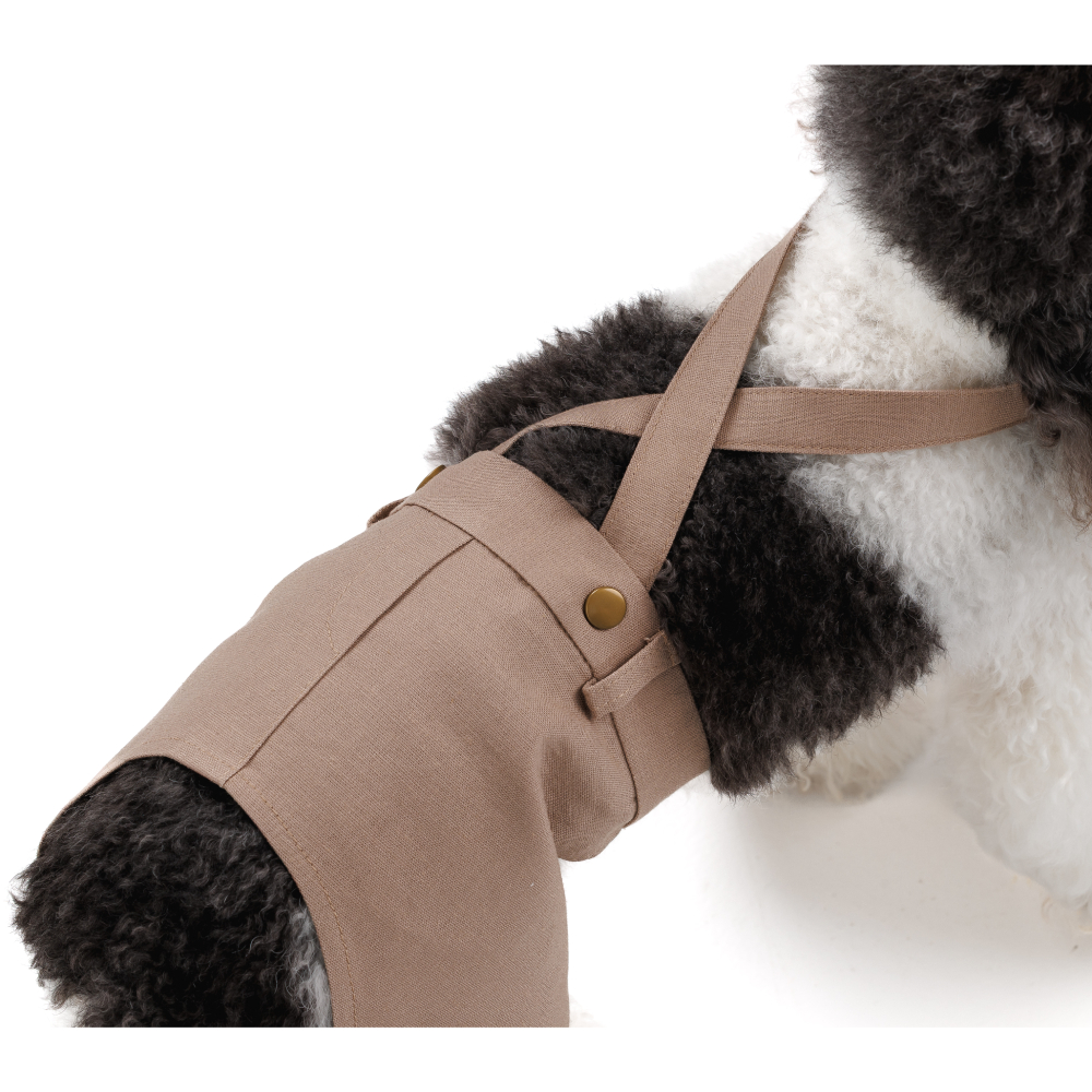 Шорти для собак Pet Fashion Leo XXS - бежевий Шорти для собак Pet Fashion Leo XXS - бежевий