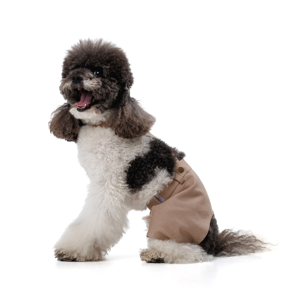 Шорти для собак Pet Fashion Leo XXS - бежевий Шорти для собак Pet Fashion Leo XXS - бежевий