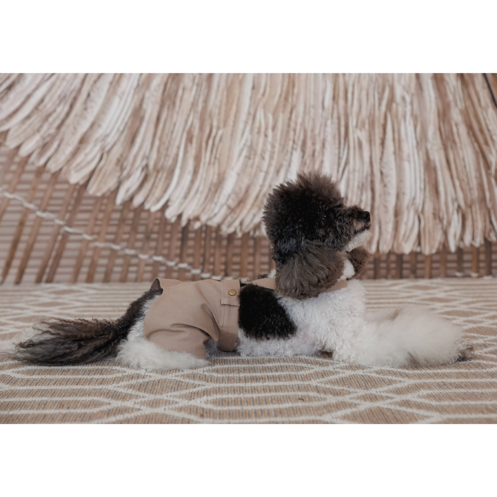 Шорти для собак Pet Fashion Leo XXS - бежевий Шорти для собак Pet Fashion Leo XXS - бежевий