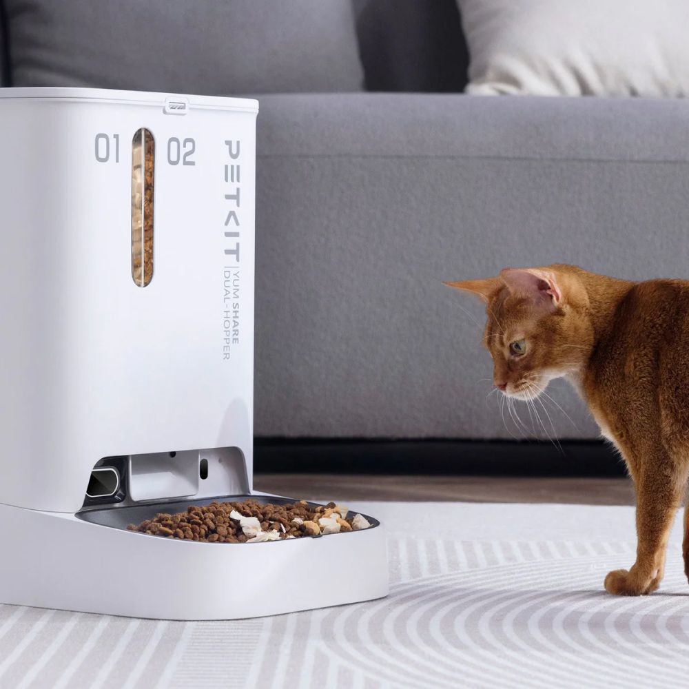 Petkit YumShare Dual-hopper with Camera смарт-кормушка для кошек 5 л - белый