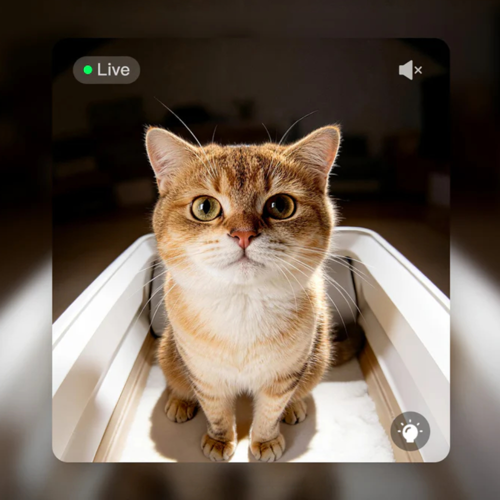 Смарт-лоток для кошек Petkit Purobot Crystal Duo P9905 81,8х50,7х33,4 см - белый