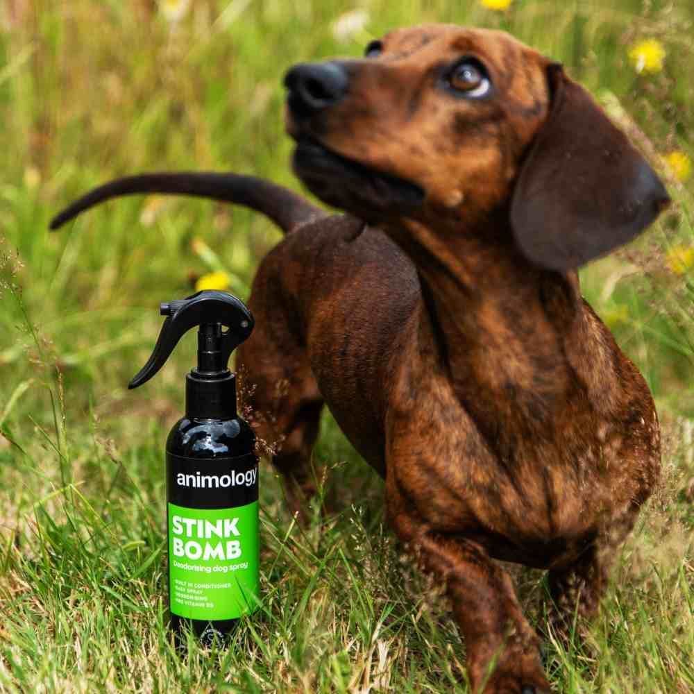 Спрей для собак Animology Stink Bomb 250 мл Спрей для собак Animology Stink Bomb 250 мл