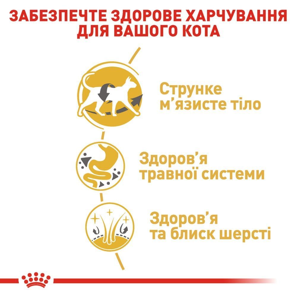 Сухий корм для котів Royal Canin Siamese Adult 400 г Сухий корм для котів Royal Canin Siamese Adult 400 г