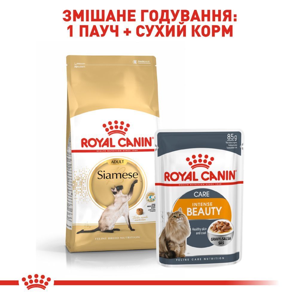 Сухий корм для котів Royal Canin Siamese Adult 400 г Сухий корм для котів Royal Canin Siamese Adult 400 г