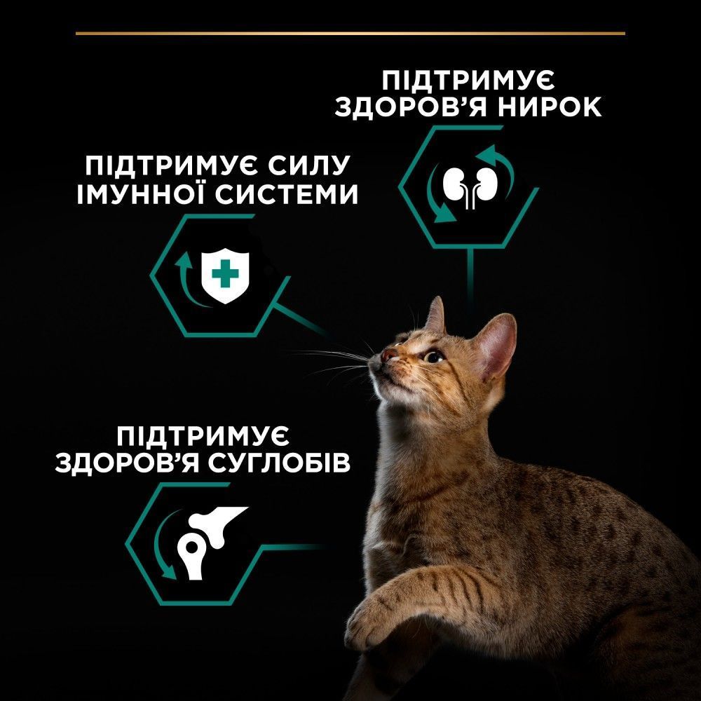 Сухой корм для кошек Pro Plan Adult Renal Plus 1,5 кг - курица Сухой корм для кошек Pro Plan Adult Renal Plus 1,5 кг - курица
