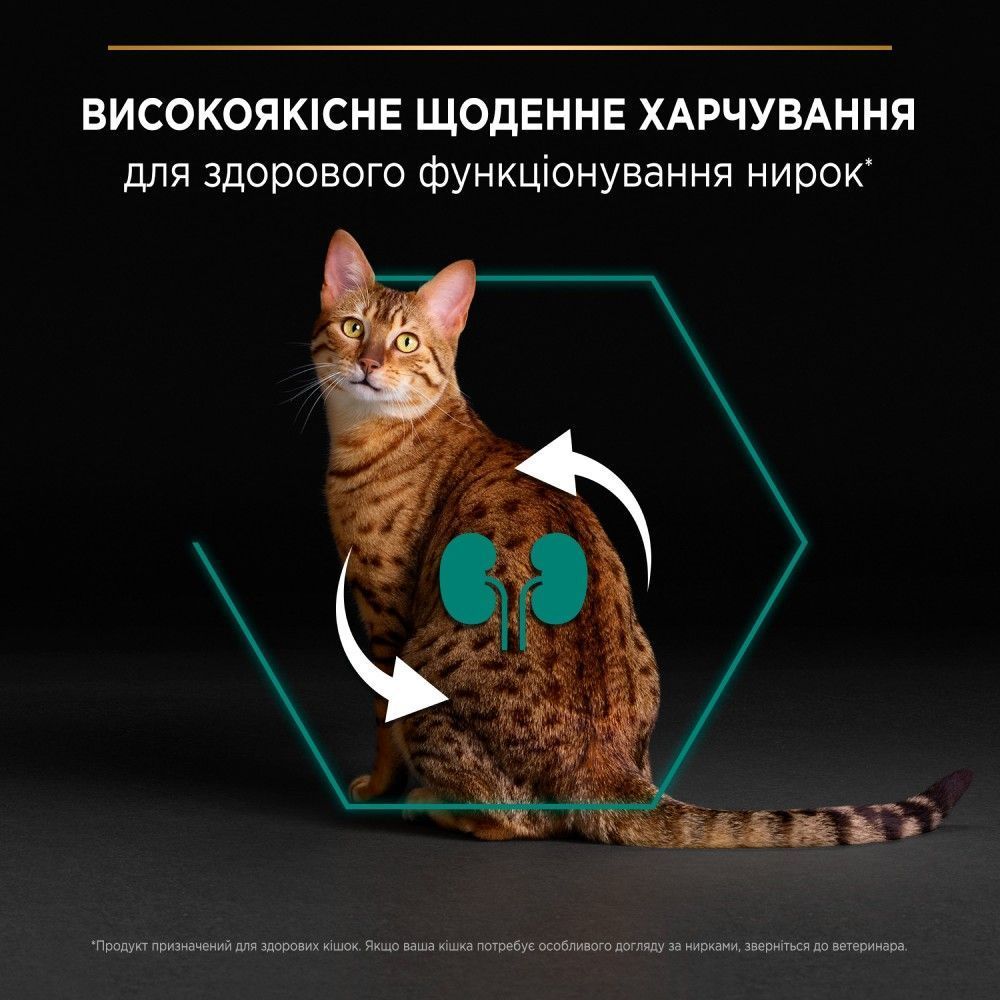 Сухой корм для кошек Pro Plan Adult Renal Plus 1,5 кг - курица Сухой корм для кошек Pro Plan Adult Renal Plus 1,5 кг - курица