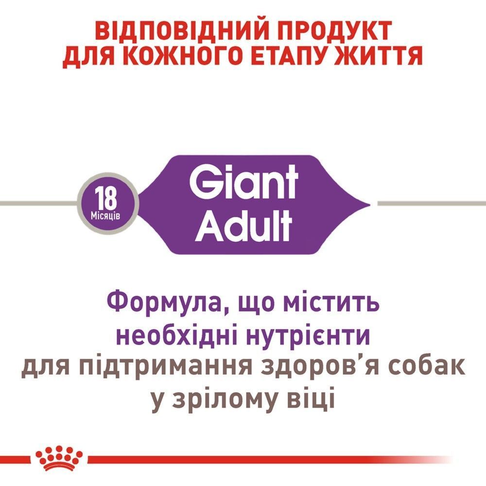 Сухой корм для собак Royal Canin Giant Adult 12+3 кг