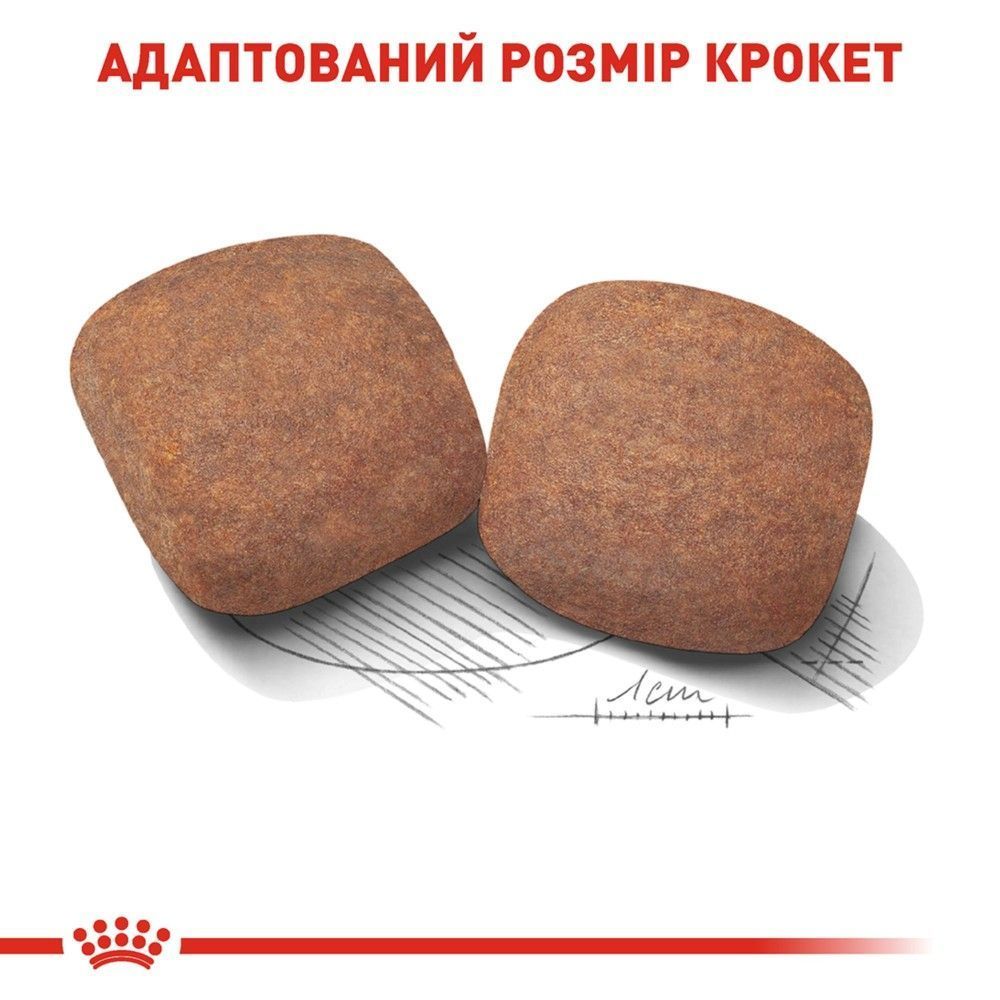 Сухой корм для собак Royal Canin Giant Adult 12+3 кг