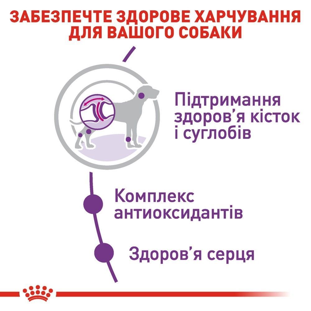 Сухой корм для собак Royal Canin Giant Adult 12+3 кг