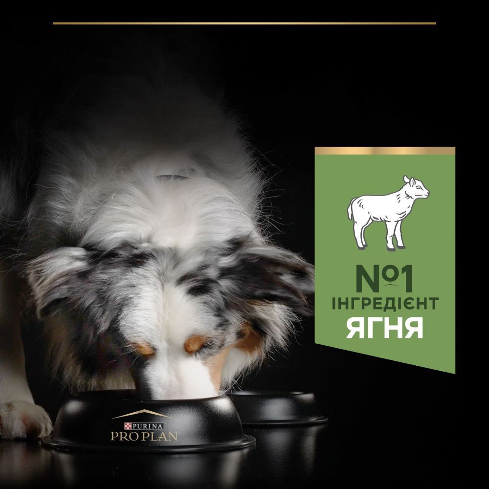 Сухой корм для собак Pro Plan Medium Adult Sensitive Digestion 3 кг - ягненок Сухой корм для собак Pro Plan Medium Adult Sensitive Digestion 3 кг - ягненок