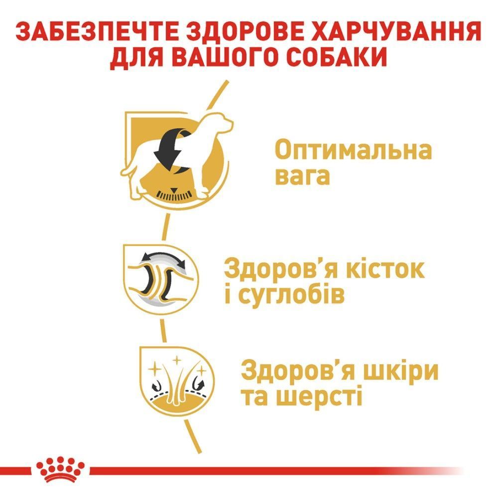 Сухой корм для собак Royal Canin Labrador Retriever Adult 12 кг