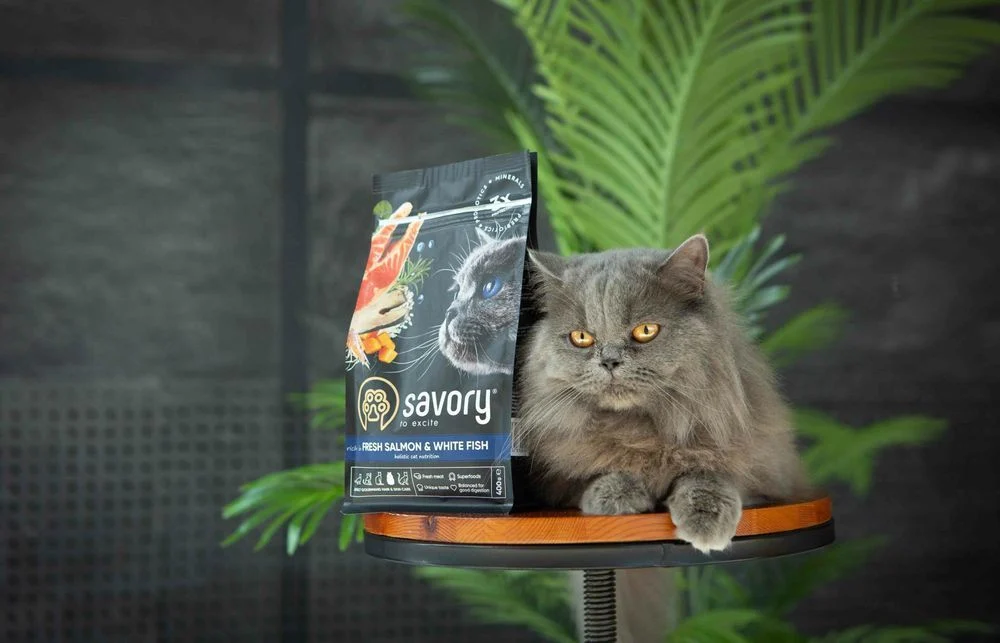 Сухий корм для котів Savory Hair and Skin Care 400 г - лосось та біла риба Сухий корм для котів Savory Hair and Skin Care 400 г - лосось та біла риба