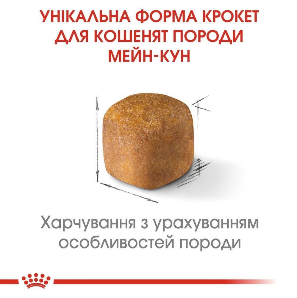 Сухий корм для кошенят Royal Canin Kitten Maine Coon 400 г Сухий корм для кошенят Royal Canin Kitten Maine Coon 400 г