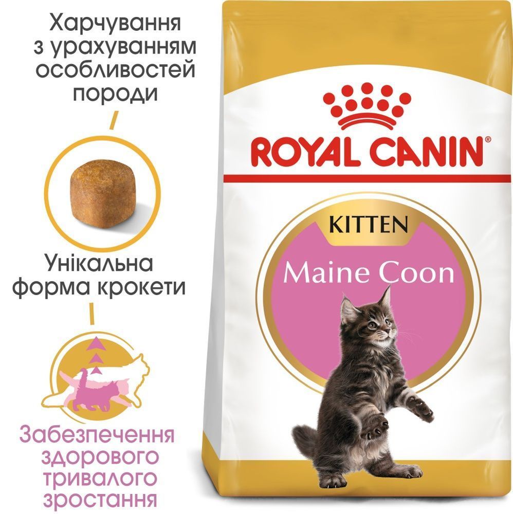 Сухий корм для кошенят Royal Canin Kitten Maine Coon 400 г Сухий корм для кошенят Royal Canin Kitten Maine Coon 400 г
