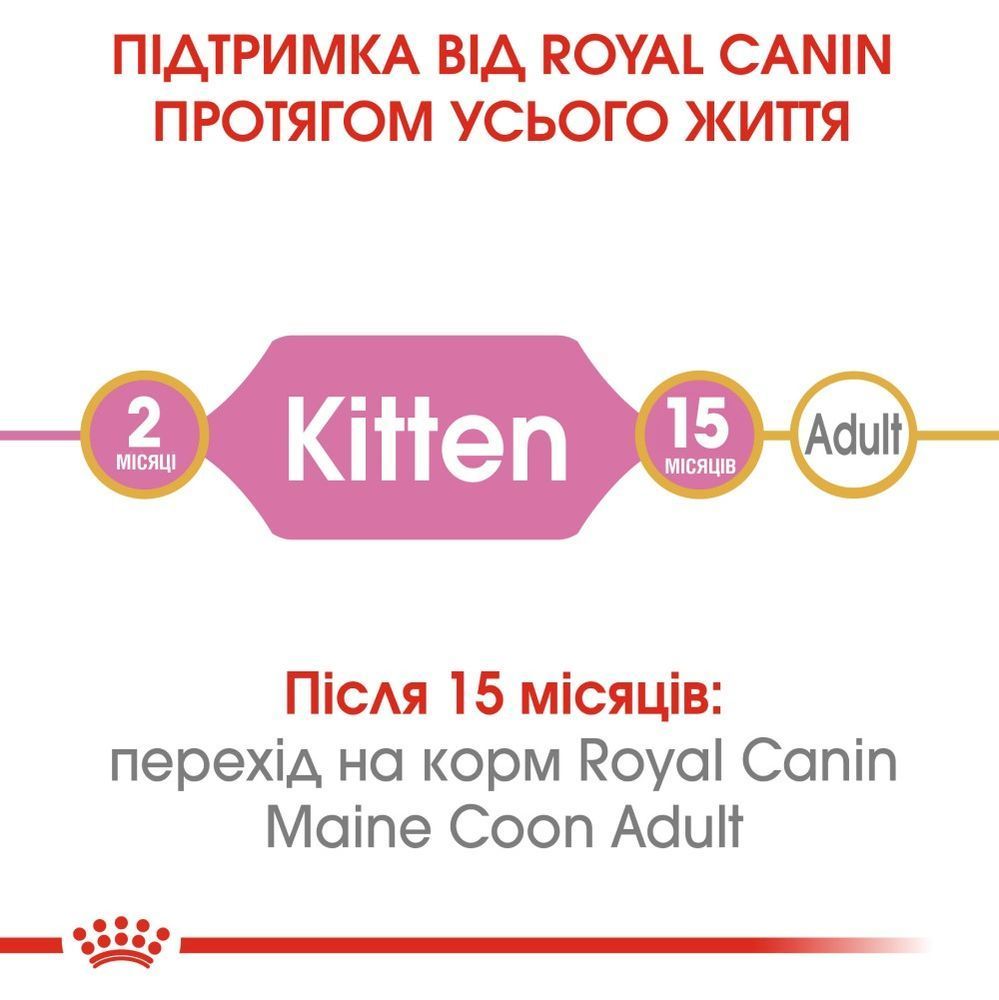 Сухий корм для кошенят Royal Canin Kitten Maine Coon 400 г Сухий корм для кошенят Royal Canin Kitten Maine Coon 400 г