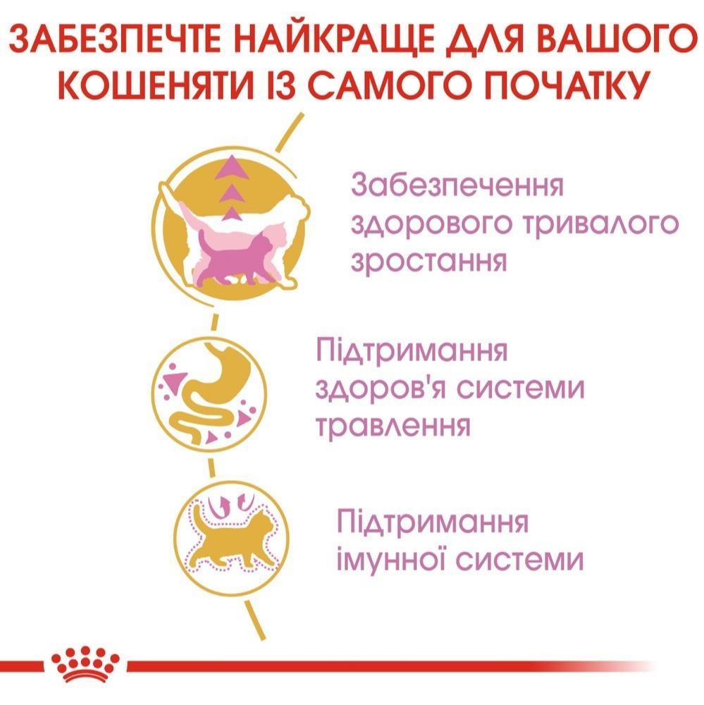 Сухий корм для кошенят Royal Canin Kitten Maine Coon 400 г Сухий корм для кошенят Royal Canin Kitten Maine Coon 400 г