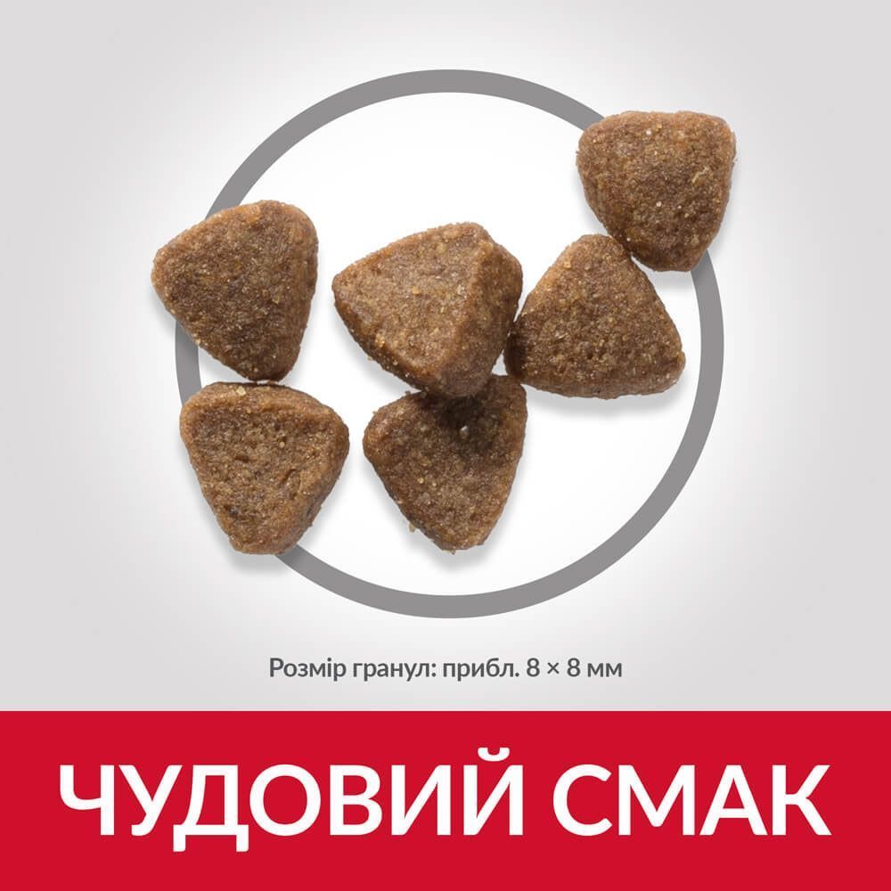 Сухий корм для кошенят Hill's Science Plan Kitten 300 г - тунець Сухий корм для кошенят Hill's Science Plan Kitten 300 г - тунець
