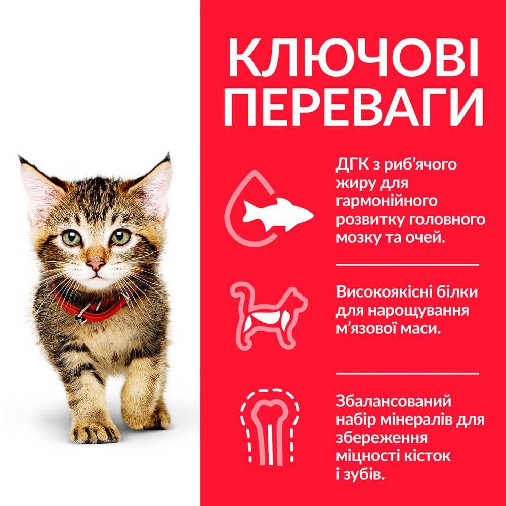 Сухий корм для кошенят Hill's Science Plan Kitten 300 г - тунець Сухий корм для кошенят Hill's Science Plan Kitten 300 г - тунець