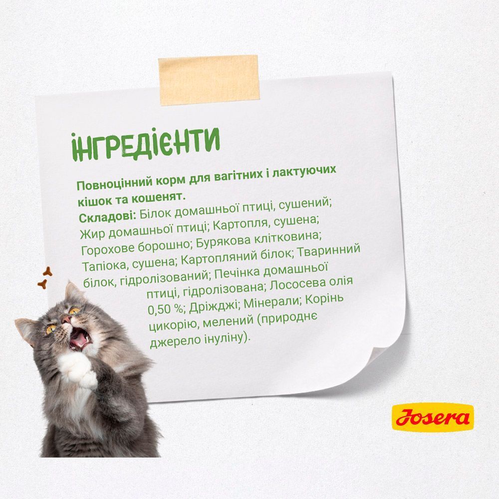 Сухий корм для кошенят Josera Kitten Grainfree 400 г - домашня птиця Сухий корм для кошенят Josera Kitten Grainfree 400 г - домашня птиця
