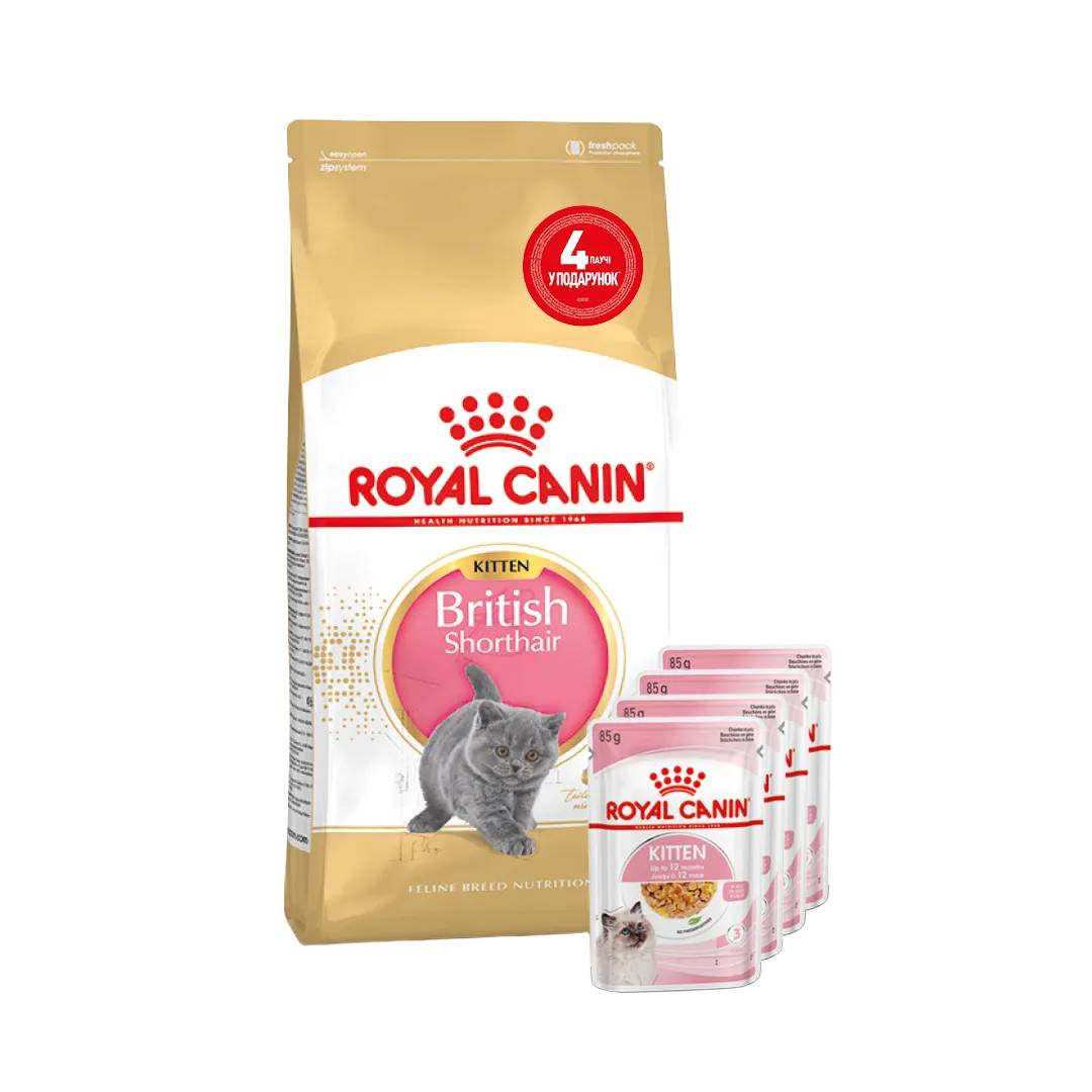 Набор сухого и влажного корма для котят Royal Canin Kitten British Shorthair 2 кг + 4 шт. по 85 г