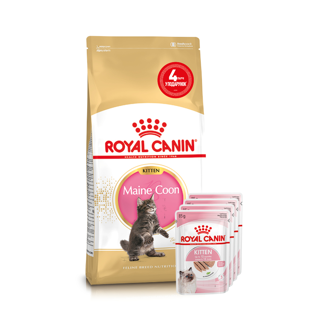Набор сухого и влажного корма для котят Royal Canin Kitten Maine Coon 2 кг + 4 шт. по 85 г