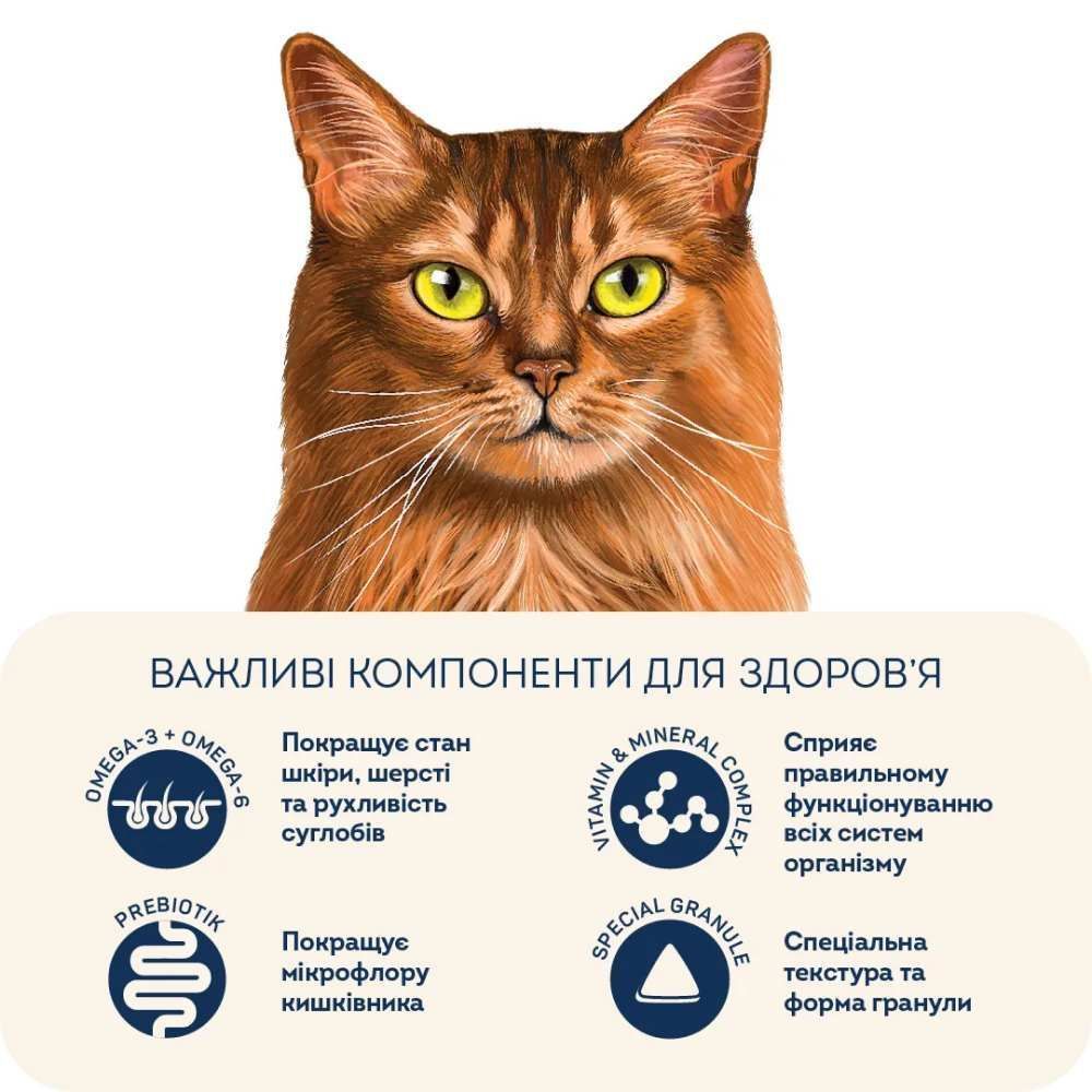 Home Food Adult Healthy Skin and Shiny Coat сухой корм для кошек 10 кг - индейка и лосось