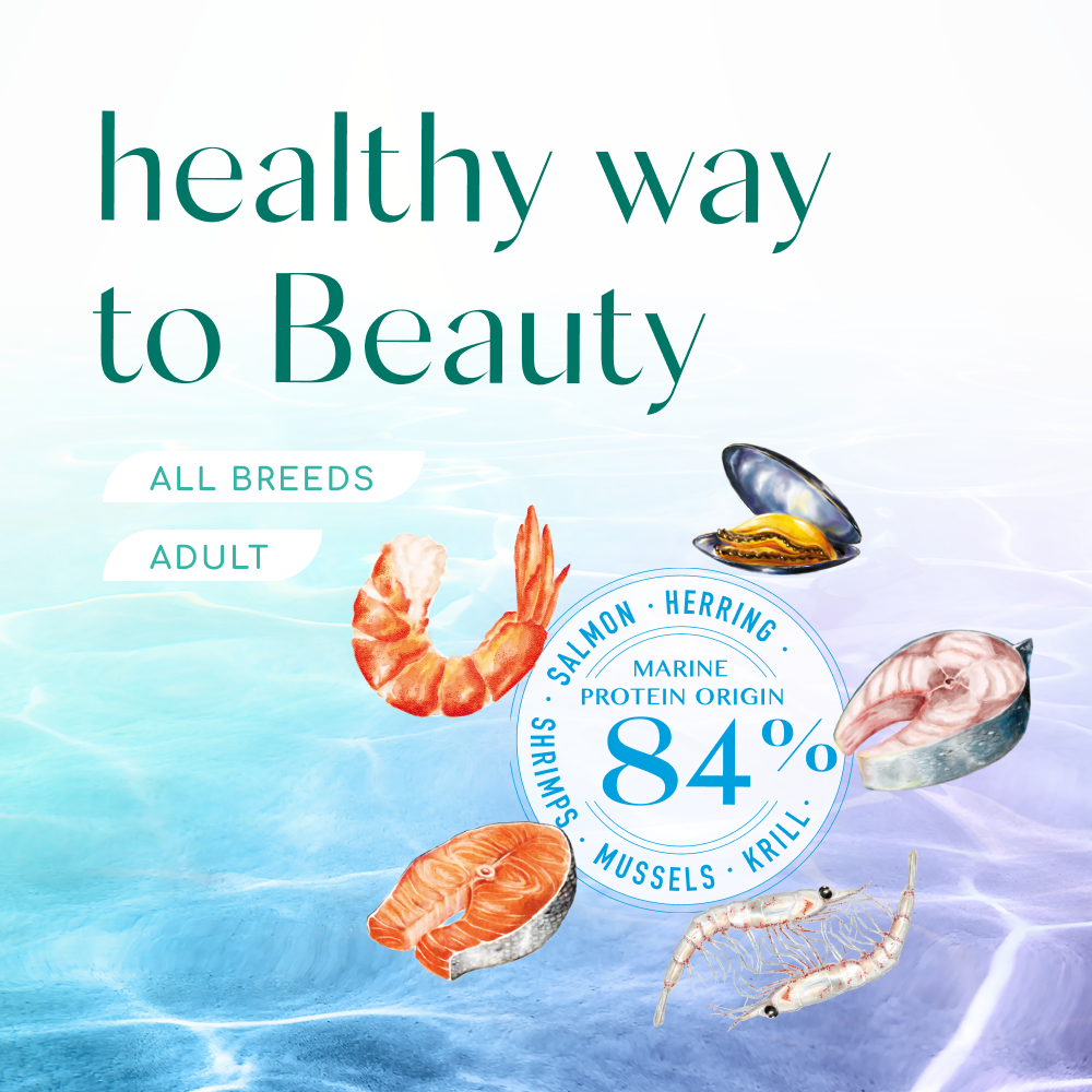 Сухой корм для кошек Optimeal Beauty Podium 1,5 кг - морепродукты Сухой корм для кошек Optimeal Beauty Podium 1,5 кг - морепродукты