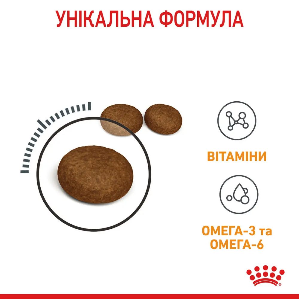 Набор сухого и влажного корма для кошек Royal Canin Hair & Skin 2 кг + 4 шт. по 85 г