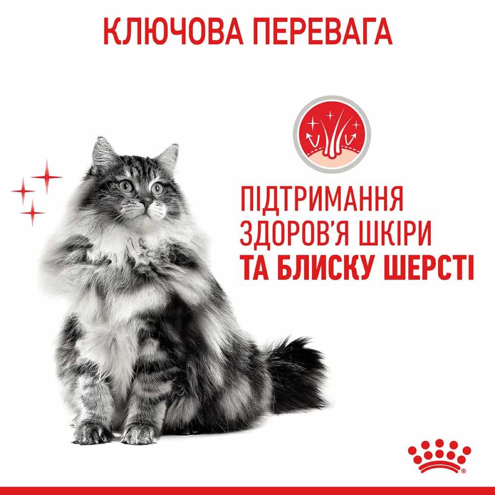 Набор сухого и влажного корма для кошек Royal Canin Hair & Skin 2 кг + 4 шт. по 85 г