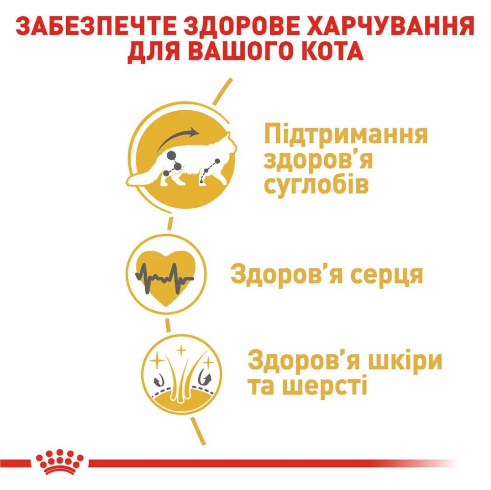 Набір сухого та вологого корму для котів Royal Canin Maine Coon Adult 2 кг + 4 шт х 85 г Набір сухого та вологого корму для котів Royal Canin Maine Coon Adult 2 кг + 4 шт х 85 г