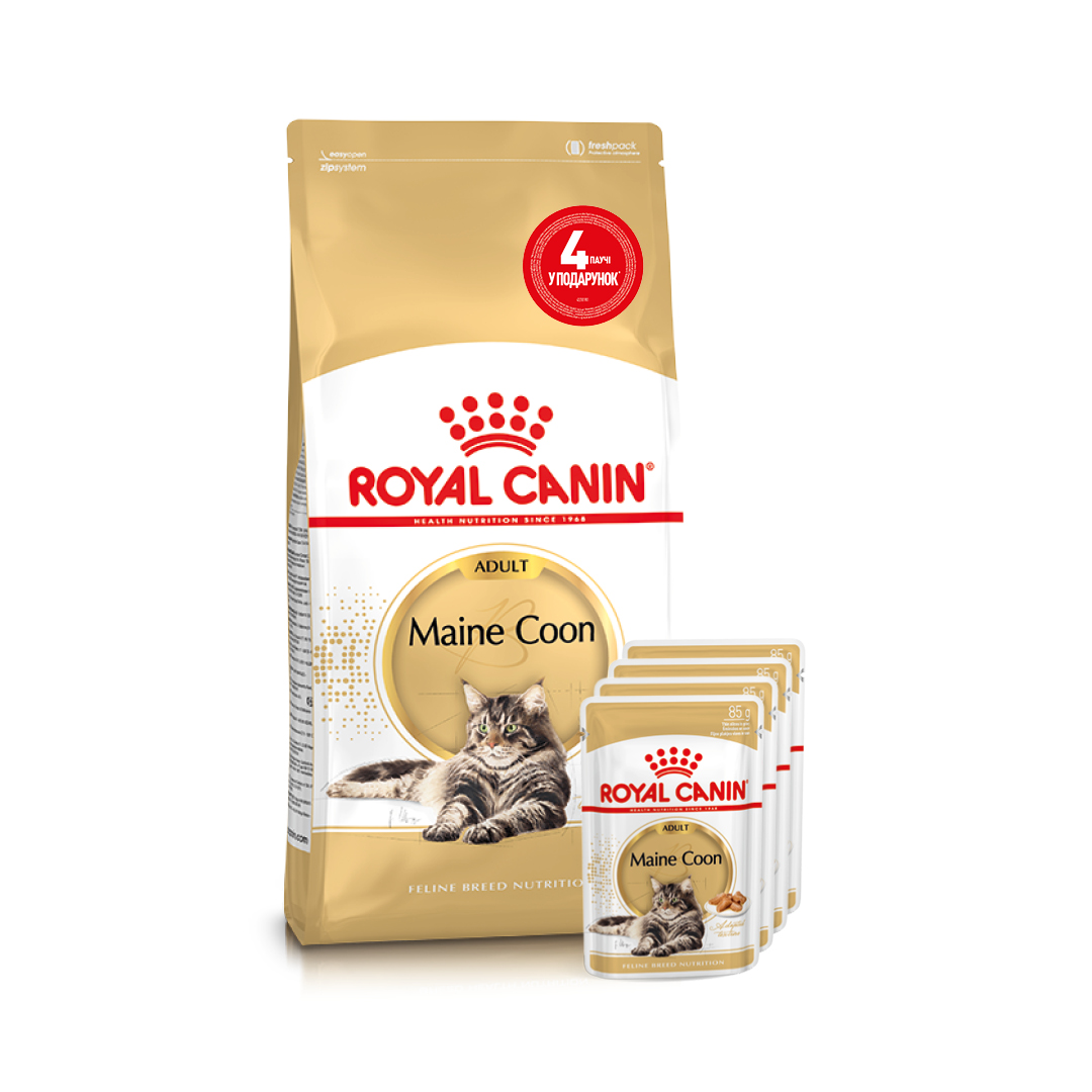 Набір сухого та вологого корму для котів Royal Canin Maine Coon Adult 2 кг + 4 шт х 85 г Набір сухого та вологого корму для котів Royal Canin Maine Coon Adult 2 кг + 4 шт х 85 г