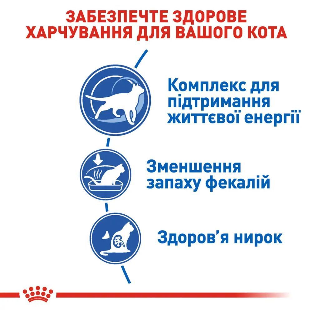 Сухой корм для кошек Royal Canin Indoor 7+ 3,5 кг + минеральный наполнитель Catsan 5 л Сухой корм для кошек Royal Canin Indoor 7+ 3,5 кг + минеральный наполнитель Catsan 5 л
