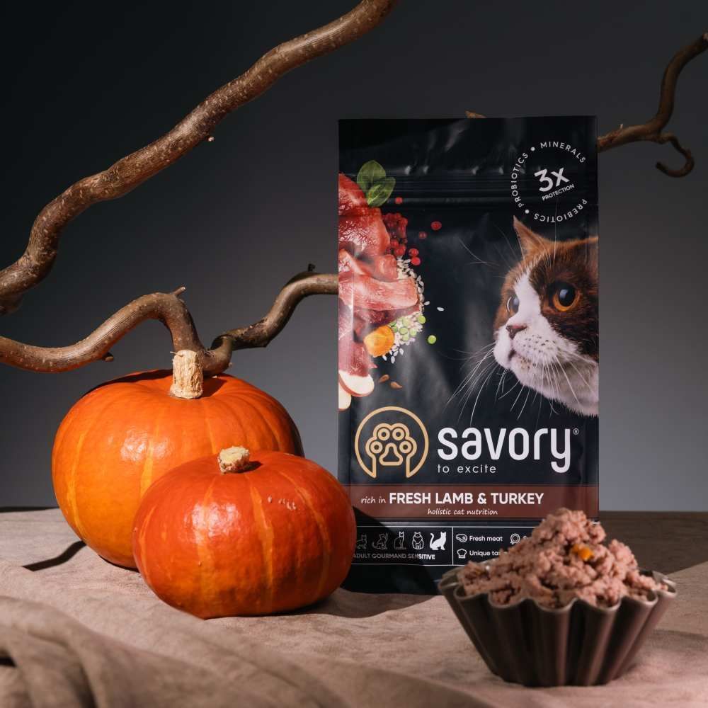Сухий корм для котів Savory Sensitive Digestion Fresh Adult 400 г - ягня та індичка Сухий корм для котів Savory Sensitive Digestion Fresh Adult 400 г - ягня та індичка