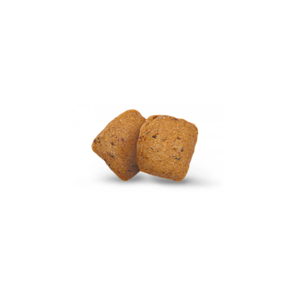 Cухий корм для собак Green Petfood InsectDog Adult Hypoallergen 900 г - комахи