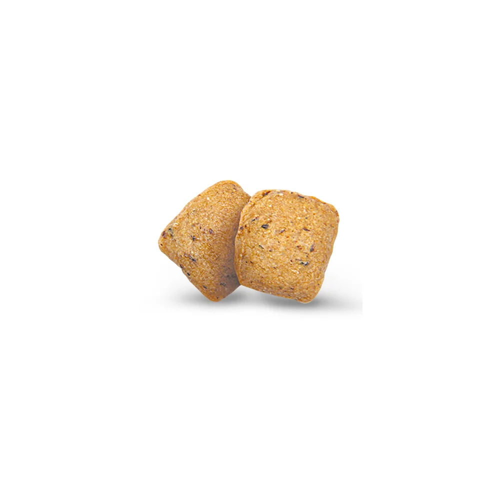 Сухой корм для собак Green Petfood VeggieDog Adult Grainfree 900 г - картофель и горох Сухой корм для собак Green Petfood VeggieDog Adult Grainfree 900 г - картофель и горох