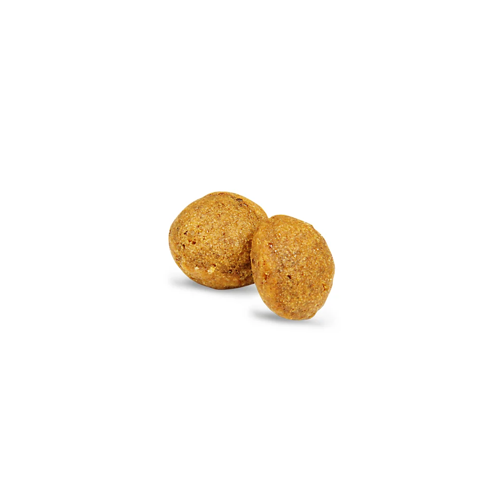 Cухий корм для собак Green Petfood VeggieDog Adult Origin 900 г - червона сочевиця