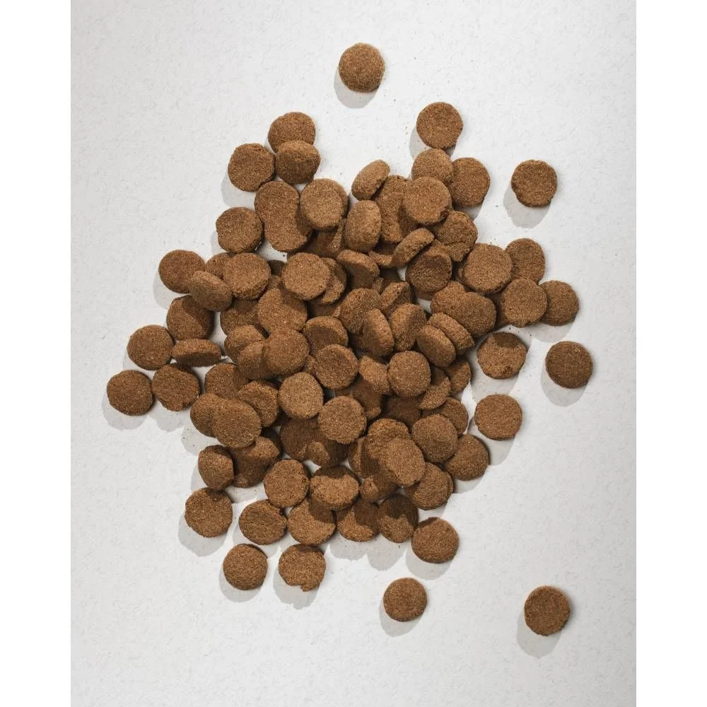 Π‘ΡΡ
ΠΎΠΉ ΠΊΠΎΡΠΌ Π΄Π»Ρ ΡΠΎΠ±Π°ΠΊ Half&Half Large Breed 2 ΠΊΠ³ - Π³ΠΎΠ²ΡΠ΄ΠΈΠ½Π° Π‘ΡΡ
ΠΎΠΉ ΠΊΠΎΡΠΌ Π΄Π»Ρ ΡΠΎΠ±Π°ΠΊ Half&Half Large Breed 2 ΠΊΠ³ - Π³ΠΎΠ²ΡΠ΄ΠΈΠ½Π°